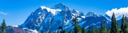 Environmental Responsibility by Chadwick Home Services